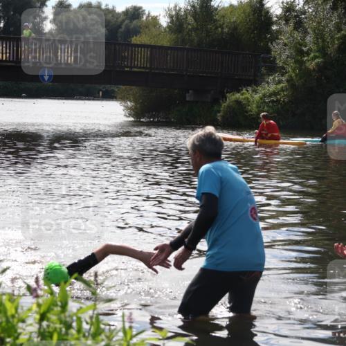 31.08.2025 - Elbe Triathlon Hamburg Luisa Fischer http://msf.ph/oto/8680703 31.08.2025 15:02:10 Schwimmen  meine-sportfotos.de