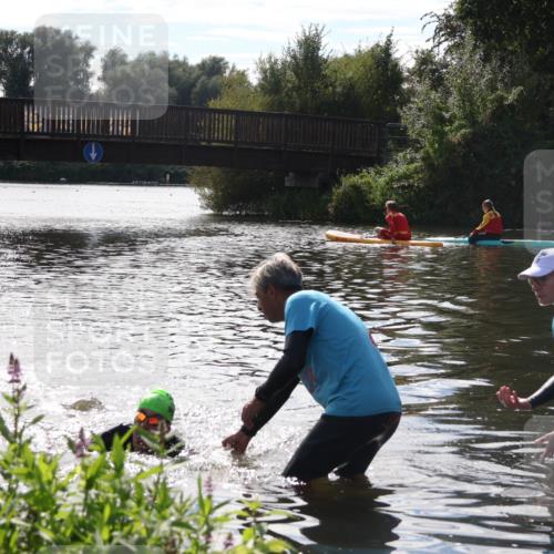 31.08.2025 - Elbe Triathlon Hamburg Luisa Fischer http://msf.ph/oto/8680708 31.08.2025 15:02:10 Schwimmen  meine-sportfotos.de