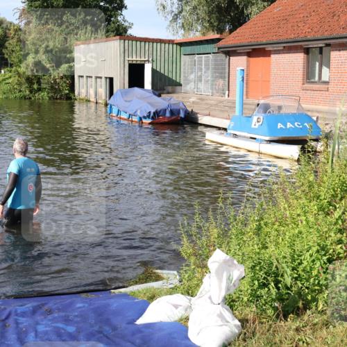31.08.2025 - Elbe Triathlon Hamburg Luisa Fischer http://msf.ph/oto/8681213 31.08.2025 09:30:11 Schwimmen 665, 760, 811, 888 meine-sportfotos.de