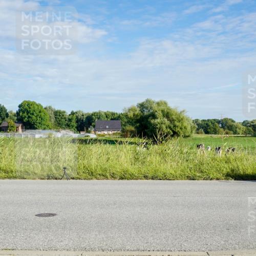 31.08.2025 - Elbe Triathlon Hamburg Michael Burmester http://msf.ph/oto/8689300 31.08.2025 09:21:04 Radfahren 187, 207, 257, 372, 428, 439, 441, 455, 464, 516, 530, 545, 655 meine-sportfotos.de