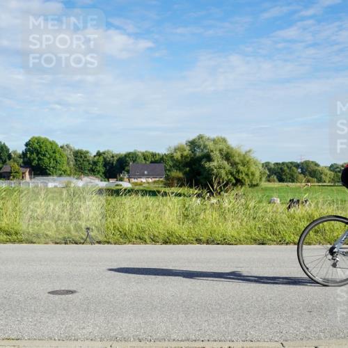 31.08.2025 - Elbe Triathlon Hamburg Michael Burmester http://msf.ph/oto/8689349 31.08.2025 09:21:44 Radfahren 229, 255, 272, 276, 300, 412, 468, 492, 658 meine-sportfotos.de