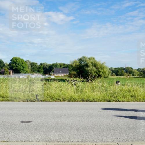 31.08.2025 - Elbe Triathlon Hamburg Michael Burmester http://msf.ph/oto/8689457 31.08.2025 09:23:47 Radfahren 167, 331, 443, 449, 497, 574, 616, 746 meine-sportfotos.de