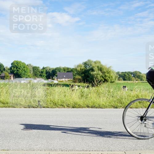 31.08.2025 - Elbe Triathlon Hamburg Michael Burmester http://msf.ph/oto/8689476 31.08.2025 09:23:59 Radfahren 185, 212, 309, 353, 432, 436, 470, 481, 549, 639, 695 meine-sportfotos.de