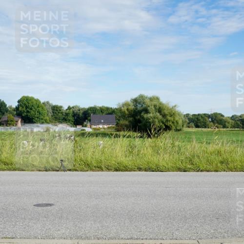 31.08.2025 - Elbe Triathlon Hamburg Michael Burmester http://msf.ph/oto/8690879 31.08.2025 09:48:38 Radfahren 322, 441, 696, 878 meine-sportfotos.de