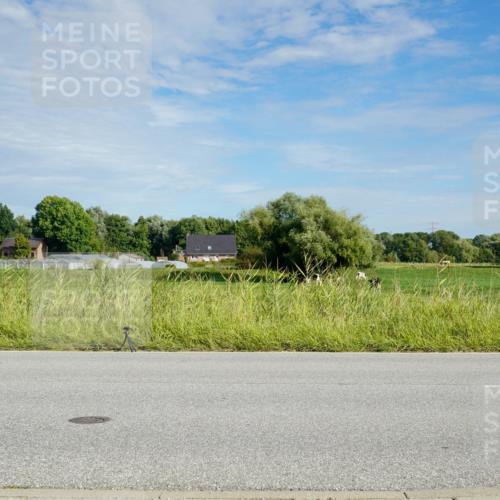 31.08.2025 - Elbe Triathlon Hamburg Michael Burmester http://msf.ph/oto/8691121 31.08.2025 09:54:33 Radfahren 548, 619, 653, 662 meine-sportfotos.de