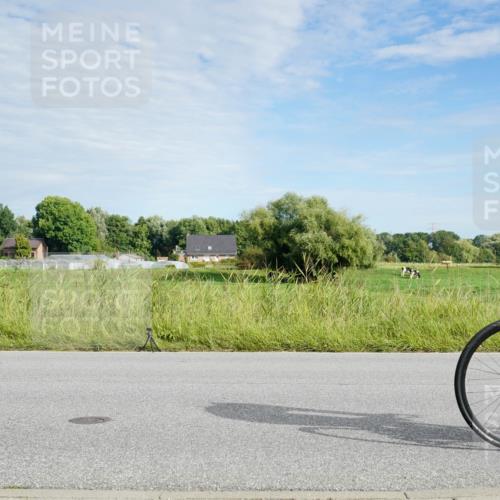 31.08.2025 - Elbe Triathlon Hamburg Michael Burmester http://msf.ph/oto/8691385 31.08.2025 10:00:11 Radfahren 409, 463, 487, 563, 566, 613, 908, 919 meine-sportfotos.de