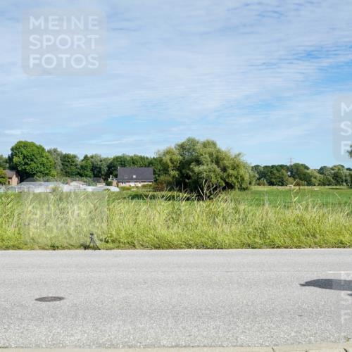31.08.2025 - Elbe Triathlon Hamburg Michael Burmester http://msf.ph/oto/8692758 31.08.2025 10:46:14 Radfahren 1259, 1270 meine-sportfotos.de