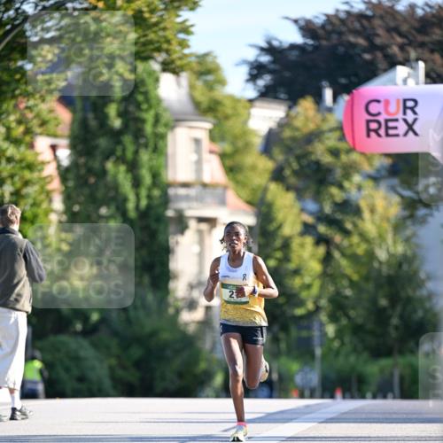 07.09.2025 - BARMER Alsterlauf Dr. Thomas Lammeyer http://msf.ph/oto/8705095 07.09.2025 09:18:57 Laufen 00 meine-sportfotos.de