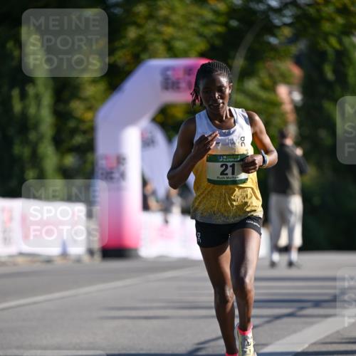 07.09.2025 - BARMER Alsterlauf Dr. Thomas Lammeyer http://msf.ph/oto/8705118 07.09.2025 09:19:00 Laufen 36, 1, 21, 0 meine-sportfotos.de