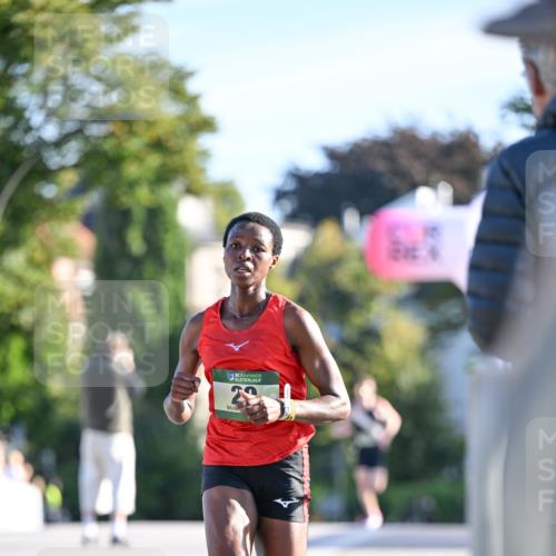 07.09.2025 - BARMER Alsterlauf Dr. Thomas Lammeyer http://msf.ph/oto/8705162 07.09.2025 09:19:14 Laufen 1636, 29 meine-sportfotos.de