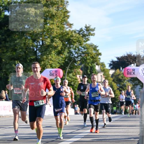 07.09.2025 - BARMER Alsterlauf Dr. Thomas Lammeyer http://msf.ph/oto/8706460 07.09.2025 09:24:16 Laufen 2358, 2914, 40, 20, 5525 meine-sportfotos.de