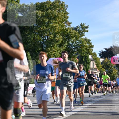 07.09.2025 - BARMER Alsterlauf Dr. Thomas Lammeyer http://msf.ph/oto/8707750 07.09.2025 09:28:46 Laufen 6321, 203, 2541, 4946, 574, 2626, 44 meine-sportfotos.de