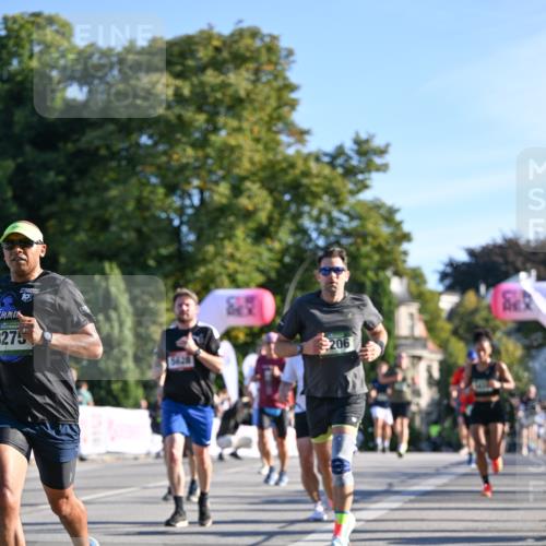 07.09.2025 - BARMER Alsterlauf Dr. Thomas Lammeyer http://msf.ph/oto/8708095 07.09.2025 09:29:46 Laufen 10, 275, 5628, 206 meine-sportfotos.de