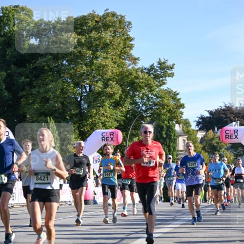 07.09.2025 - BARMER Alsterlauf Dr. Thomas Lammeyer http://msf.ph/oto/8708366 07.09.2025 09:30:33 Laufen 2043, 511, 8421, 5441, 8317, 2889, 2122, 195, 3299, 554, 5905 meine-sportfotos.de