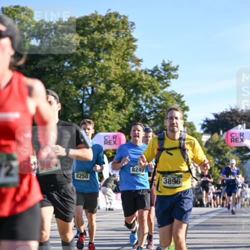 07.09.2025 - BARMER Alsterlauf Dr. Thomas Lammeyer http://msf.ph/oto/8708426 07.09.2025 09:30:42 Laufen 72, 8250, 8249, 3896 meine-sportfotos.de