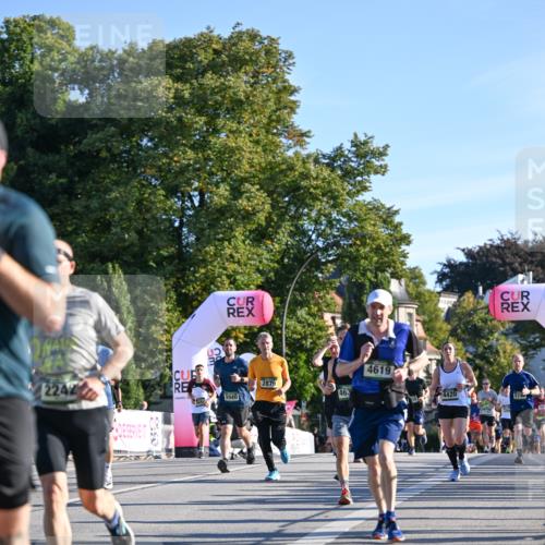 07.09.2025 - BARMER Alsterlauf Dr. Thomas Lammeyer http://msf.ph/oto/8708448 07.09.2025 09:30:47 Laufen 2242, 5940, 2879, 463, 4619, 4420, 5740 meine-sportfotos.de