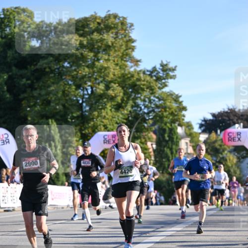 07.09.2025 - BARMER Alsterlauf Dr. Thomas Lammeyer http://msf.ph/oto/8708471 07.09.2025 09:30:51 Laufen 2900, 4835, 4420 meine-sportfotos.de
