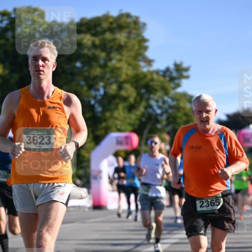07.09.2025 - BARMER Alsterlauf Dr. Thomas Lammeyer http://msf.ph/oto/8708738 07.09.2025 09:31:37 Laufen 36, 3623, 2365 meine-sportfotos.de