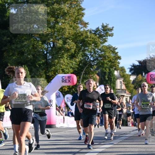 07.09.2025 - BARMER Alsterlauf Dr. Thomas Lammeyer http://msf.ph/oto/8709141 07.09.2025 09:32:49 Laufen 2369, 8095, 2896, 3589, 4257, 554 meine-sportfotos.de