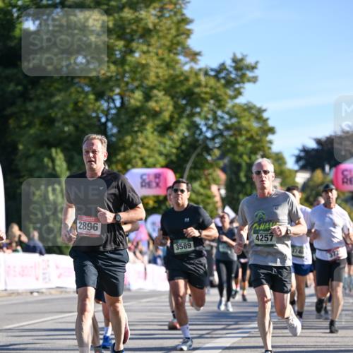 07.09.2025 - BARMER Alsterlauf Dr. Thomas Lammeyer http://msf.ph/oto/8709151 07.09.2025 09:32:51 Laufen 2896, 3589, 4257, 564, 372 meine-sportfotos.de