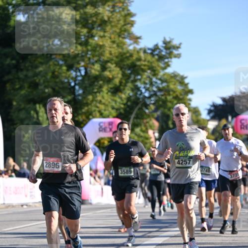 07.09.2025 - BARMER Alsterlauf Dr. Thomas Lammeyer http://msf.ph/oto/8709152 07.09.2025 09:32:51 Laufen 2896, 177, 3589, 4257, 3748, 3725 meine-sportfotos.de