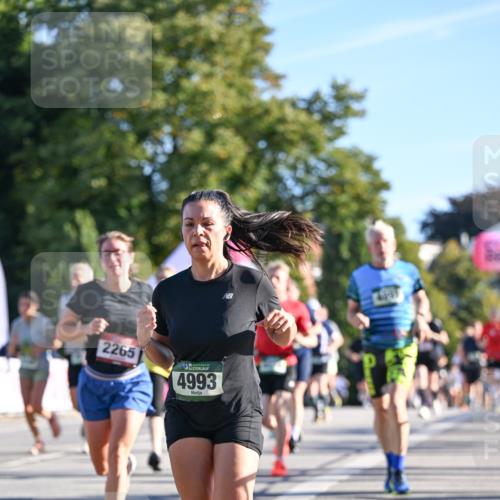 07.09.2025 - BARMER Alsterlauf Dr. Thomas Lammeyer http://msf.ph/oto/8710903 07.09.2025 09:37:50 Laufen 2265, 136, 4993 meine-sportfotos.de