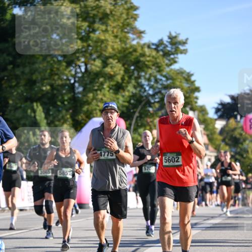 07.09.2025 - BARMER Alsterlauf Dr. Thomas Lammeyer http://msf.ph/oto/8712047 07.09.2025 09:41:00 Laufen 2065, 5857, 4775, 5703, 5602 meine-sportfotos.de