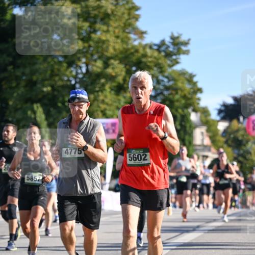 07.09.2025 - BARMER Alsterlauf Dr. Thomas Lammeyer http://msf.ph/oto/8712050 07.09.2025 09:41:00 Laufen 5857, 4775, 5602 meine-sportfotos.de