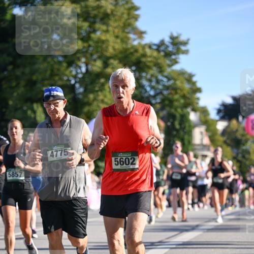 07.09.2025 - BARMER Alsterlauf Dr. Thomas Lammeyer http://msf.ph/oto/8712052 07.09.2025 09:41:01 Laufen 5857, 4775, 136, 5602 meine-sportfotos.de