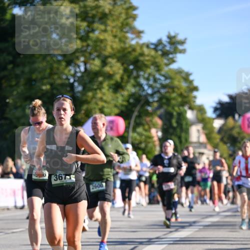 07.09.2025 - BARMER Alsterlauf Dr. Thomas Lammeyer http://msf.ph/oto/8712085 07.09.2025 09:41:06 Laufen 367, 2600, 66 meine-sportfotos.de