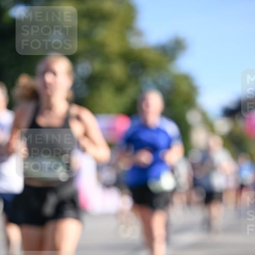 07.09.2025 - BARMER Alsterlauf Dr. Thomas Lammeyer http://msf.ph/oto/8712341 07.09.2025 09:41:51 Laufen  meine-sportfotos.de