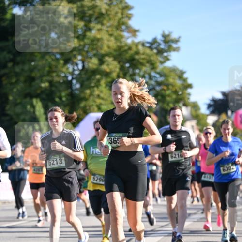 07.09.2025 - BARMER Alsterlauf Dr. Thomas Lammeyer http://msf.ph/oto/8712472 07.09.2025 09:42:12 Laufen 6213, 6299, 365, 6216, 6101, 6302 meine-sportfotos.de