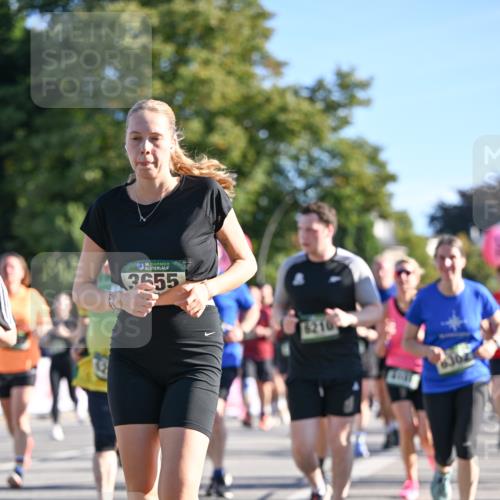 07.09.2025 - BARMER Alsterlauf Dr. Thomas Lammeyer http://msf.ph/oto/8712477 07.09.2025 09:42:13 Laufen 36, 3655, 6210 meine-sportfotos.de