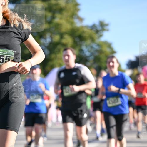 07.09.2025 - BARMER Alsterlauf Dr. Thomas Lammeyer http://msf.ph/oto/8712484 07.09.2025 09:42:13 Laufen 55, 44 meine-sportfotos.de