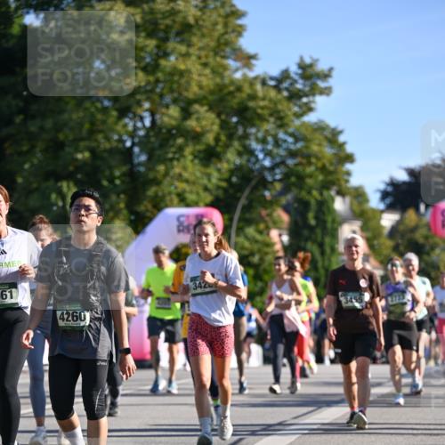 07.09.2025 - BARMER Alsterlauf Dr. Thomas Lammeyer http://msf.ph/oto/8712642 07.09.2025 09:42:38 Laufen 61, 4260, 3420, 2723 meine-sportfotos.de