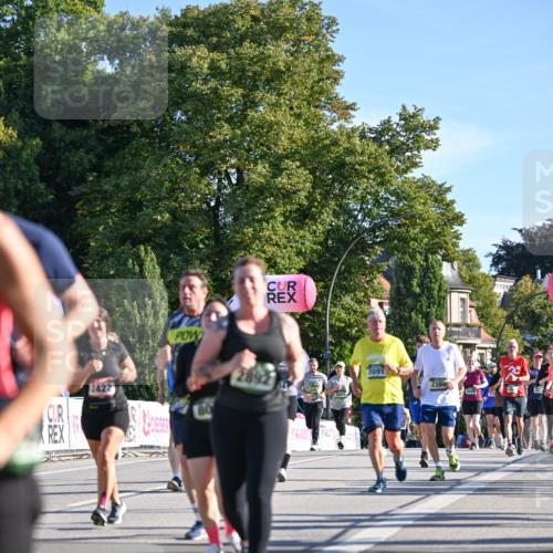 07.09.2025 - BARMER Alsterlauf Dr. Thomas Lammeyer http://msf.ph/oto/8713109 07.09.2025 09:44:04 Laufen 2892, 3439, 2091, 80, 2360 meine-sportfotos.de