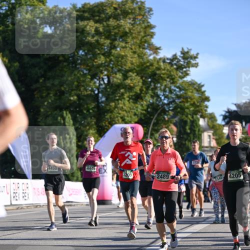 07.09.2025 - BARMER Alsterlauf Dr. Thomas Lammeyer http://msf.ph/oto/8713153 07.09.2025 09:44:12 Laufen 4450, 4449, 3205, 2489, 3729, 3348, 4205 meine-sportfotos.de