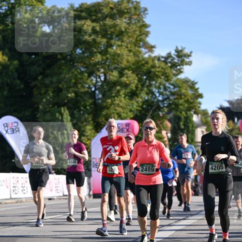 07.09.2025 - BARMER Alsterlauf Dr. Thomas Lammeyer http://msf.ph/oto/8713156 07.09.2025 09:44:12 Laufen 45, 4449, 56, 3205, 2489, 3729, 4205 meine-sportfotos.de