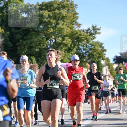 07.09.2025 - BARMER Alsterlauf Dr. Thomas Lammeyer http://msf.ph/oto/8713227 07.09.2025 09:44:23 Laufen 2480, 6033, 2479, 5816, 1229, 1228 meine-sportfotos.de