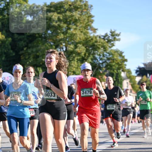 07.09.2025 - BARMER Alsterlauf Dr. Thomas Lammeyer http://msf.ph/oto/8713229 07.09.2025 09:44:24 Laufen 24, 6033, 2479, 70, 5816, 1228 meine-sportfotos.de