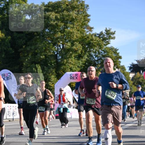 07.09.2025 - BARMER Alsterlauf Dr. Thomas Lammeyer http://msf.ph/oto/8713429 07.09.2025 09:44:56 Laufen 5986, 4572, 3145, 551, 2293, 5362, 2057 meine-sportfotos.de