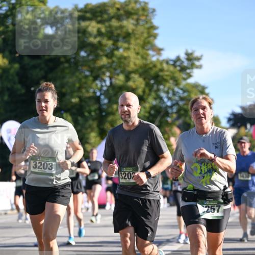 07.09.2025 - BARMER Alsterlauf Dr. Thomas Lammeyer http://msf.ph/oto/8713478 07.09.2025 09:45:04 Laufen 36, 3203, 3202, 10, 257, 3630 meine-sportfotos.de