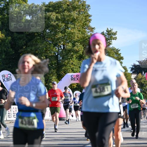 07.09.2025 - BARMER Alsterlauf Dr. Thomas Lammeyer http://msf.ph/oto/8713569 07.09.2025 09:45:19 Laufen 6191, 2793, 4381, 3393 meine-sportfotos.de