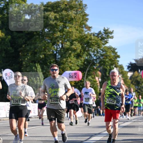 07.09.2025 - BARMER Alsterlauf Dr. Thomas Lammeyer http://msf.ph/oto/8713804 07.09.2025 09:45:57 Laufen 3367, 19, 3366, 3495, 5875, 2442 meine-sportfotos.de