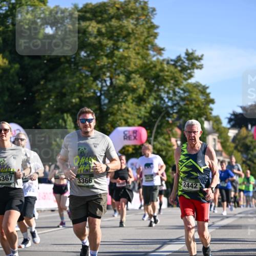 07.09.2025 - BARMER Alsterlauf Dr. Thomas Lammeyer http://msf.ph/oto/8713807 07.09.2025 09:45:58 Laufen 3367, 19, 1475, 3366, 2442 meine-sportfotos.de