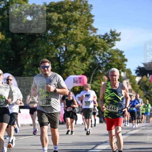 07.09.2025 - BARMER Alsterlauf Dr. Thomas Lammeyer http://msf.ph/oto/8713808 07.09.2025 09:45:58 Laufen 67, 3366, 2442 meine-sportfotos.de