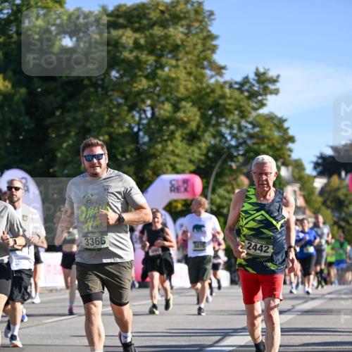 07.09.2025 - BARMER Alsterlauf Dr. Thomas Lammeyer http://msf.ph/oto/8713809 07.09.2025 09:45:58 Laufen 3366, 3475, 2442 meine-sportfotos.de