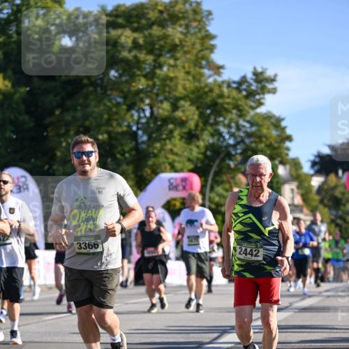 07.09.2025 - BARMER Alsterlauf Dr. Thomas Lammeyer http://msf.ph/oto/8713810 07.09.2025 09:45:58 Laufen 3366, 19, 1474, 2442 meine-sportfotos.de