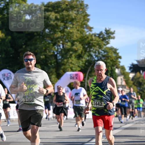 07.09.2025 - BARMER Alsterlauf Dr. Thomas Lammeyer http://msf.ph/oto/8713812 07.09.2025 09:45:58 Laufen 842, 19, 1667, 3366, 1475, 2442 meine-sportfotos.de