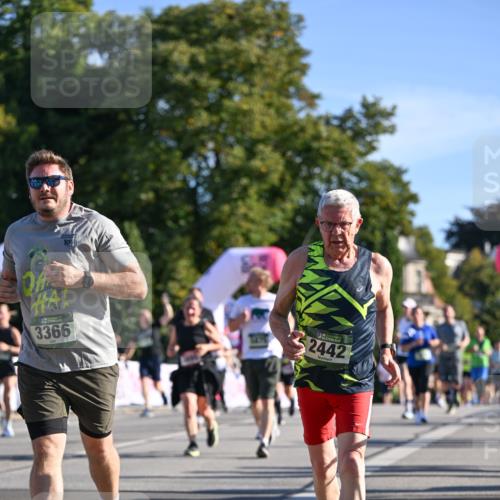 07.09.2025 - BARMER Alsterlauf Dr. Thomas Lammeyer http://msf.ph/oto/8713813 07.09.2025 09:45:59 Laufen 1011, 3366, 2442 meine-sportfotos.de